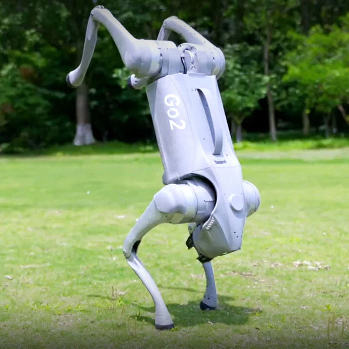 Unitree Go2 EDU Programmable Quadruped Robot with Python ROS SDK Support for Prototype Development & R&D