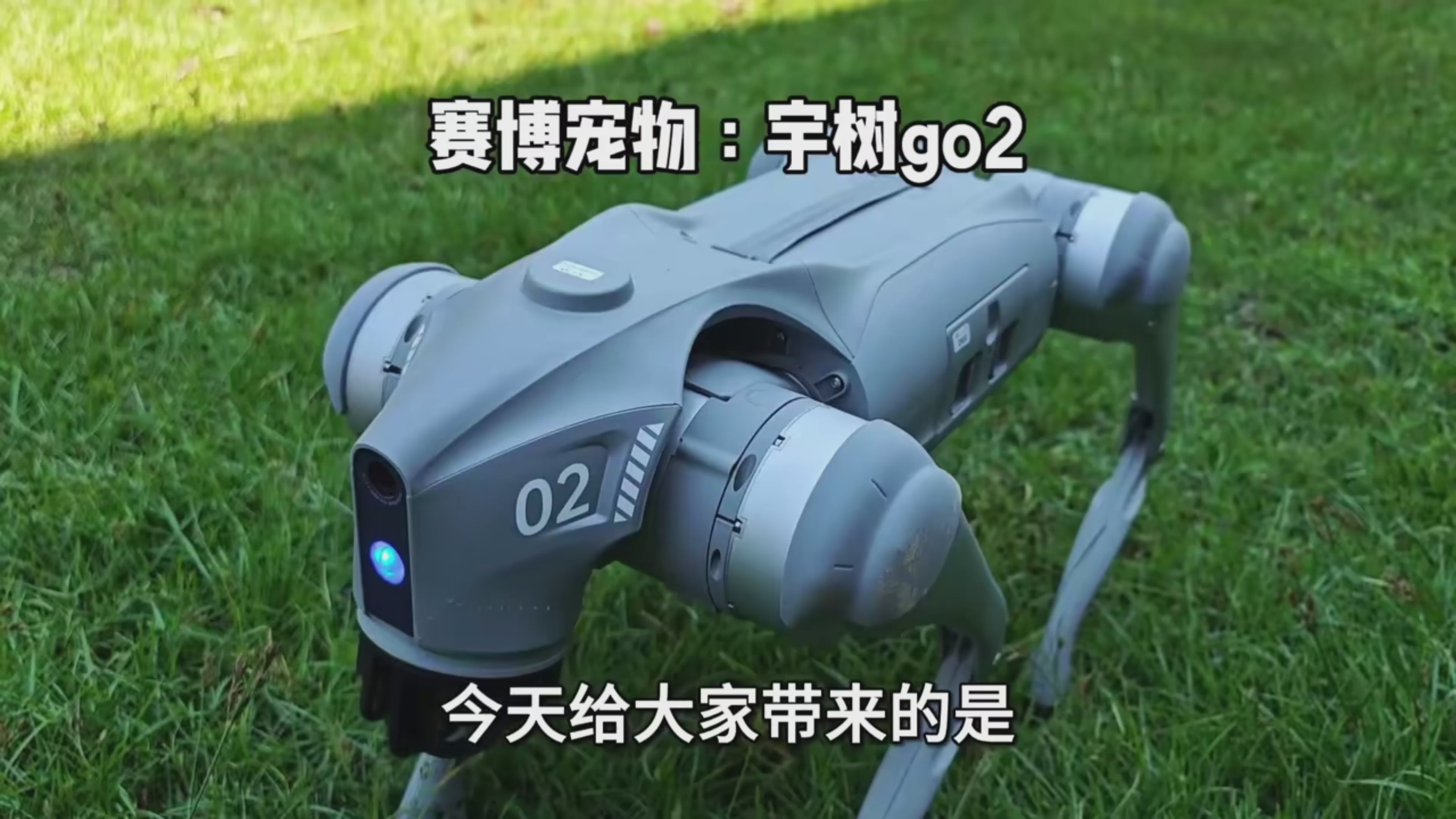Unitree Go2 X Intelligent Robot Dog with Real Time Video Transmission for Remote Monitoring & Inspection